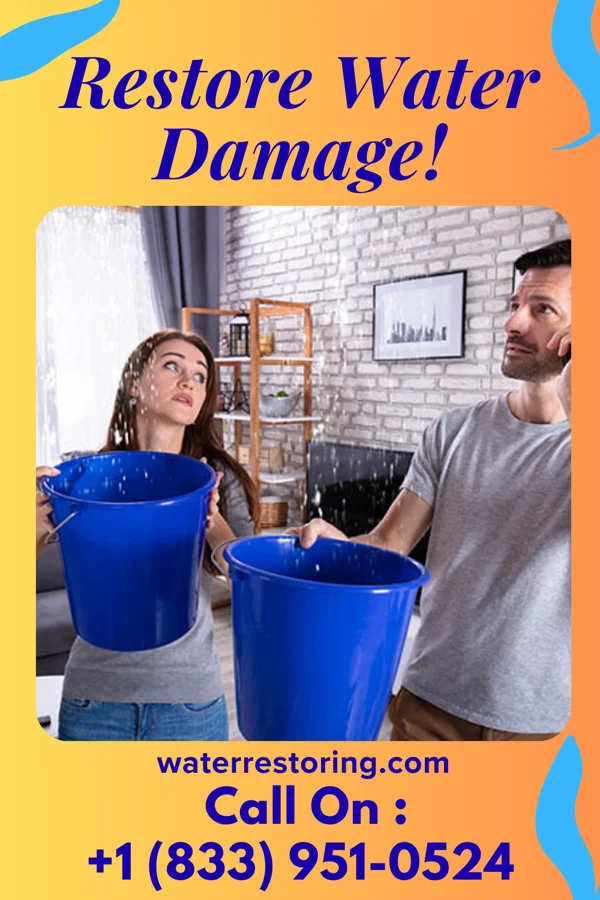 water restoration Zenith Damage Restoration Co Stella