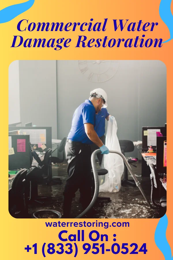 Commercial Water Damage Restoration in Stella, NE
