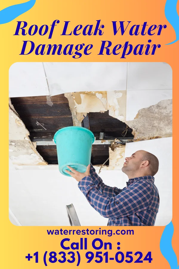 Roof Leak Water Damage Repair in Stella, NE